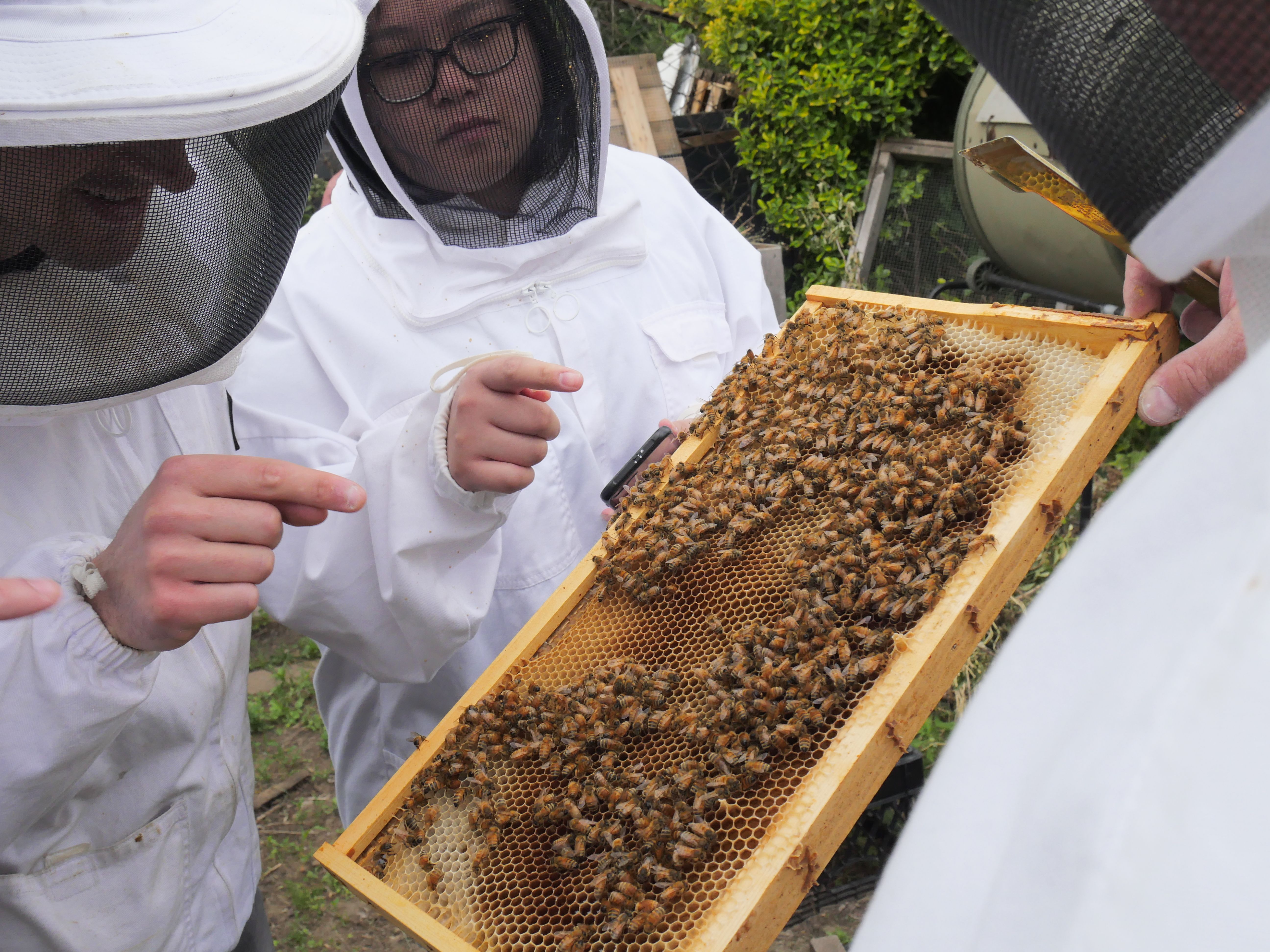 New York Adventure Club - Urban Beekeeping